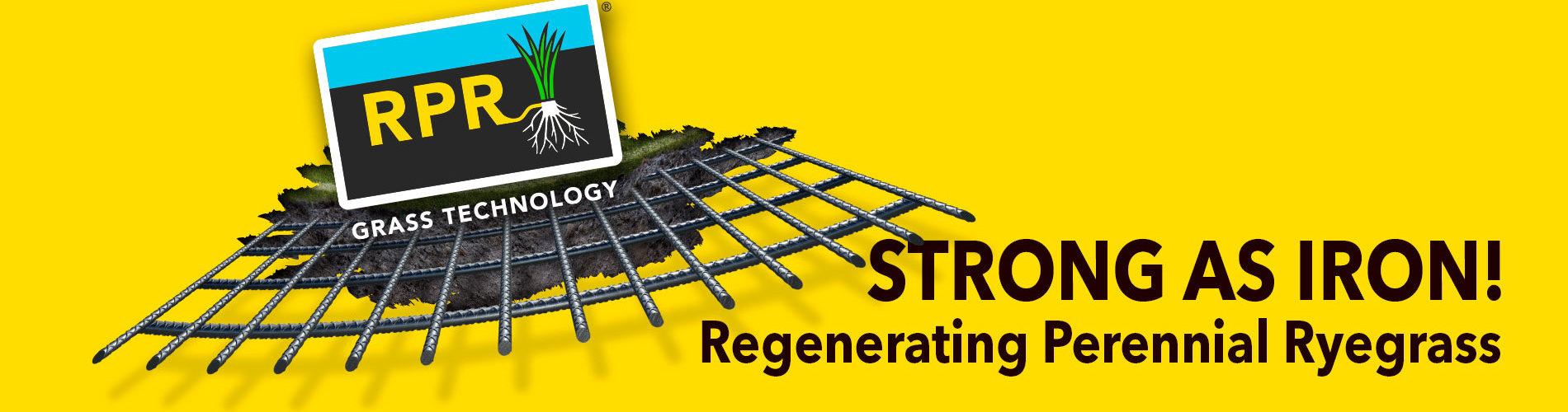 RPR - Regenerating Perennial Ryegrass