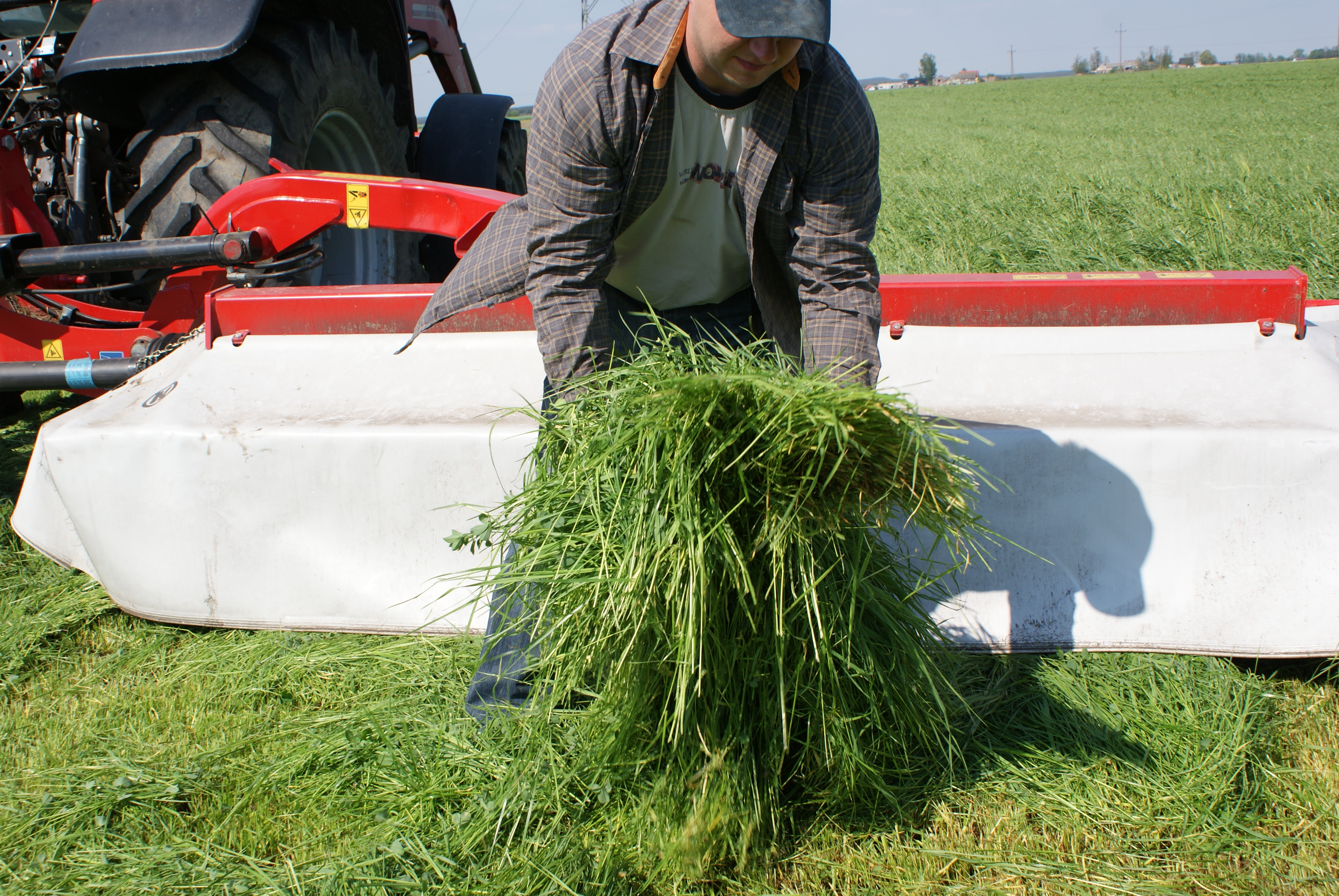 Charakterystyka mieszanek B&G Milkway.