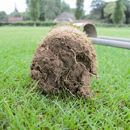 Pozytywny wpływ BarFertile na rozwój korzeni.
