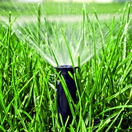 Zmniejszenie zapotrzebowania na wodę w okresach suszy.