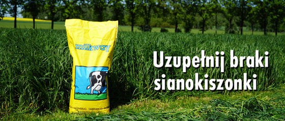 newsleter - uzupelnij braki_1