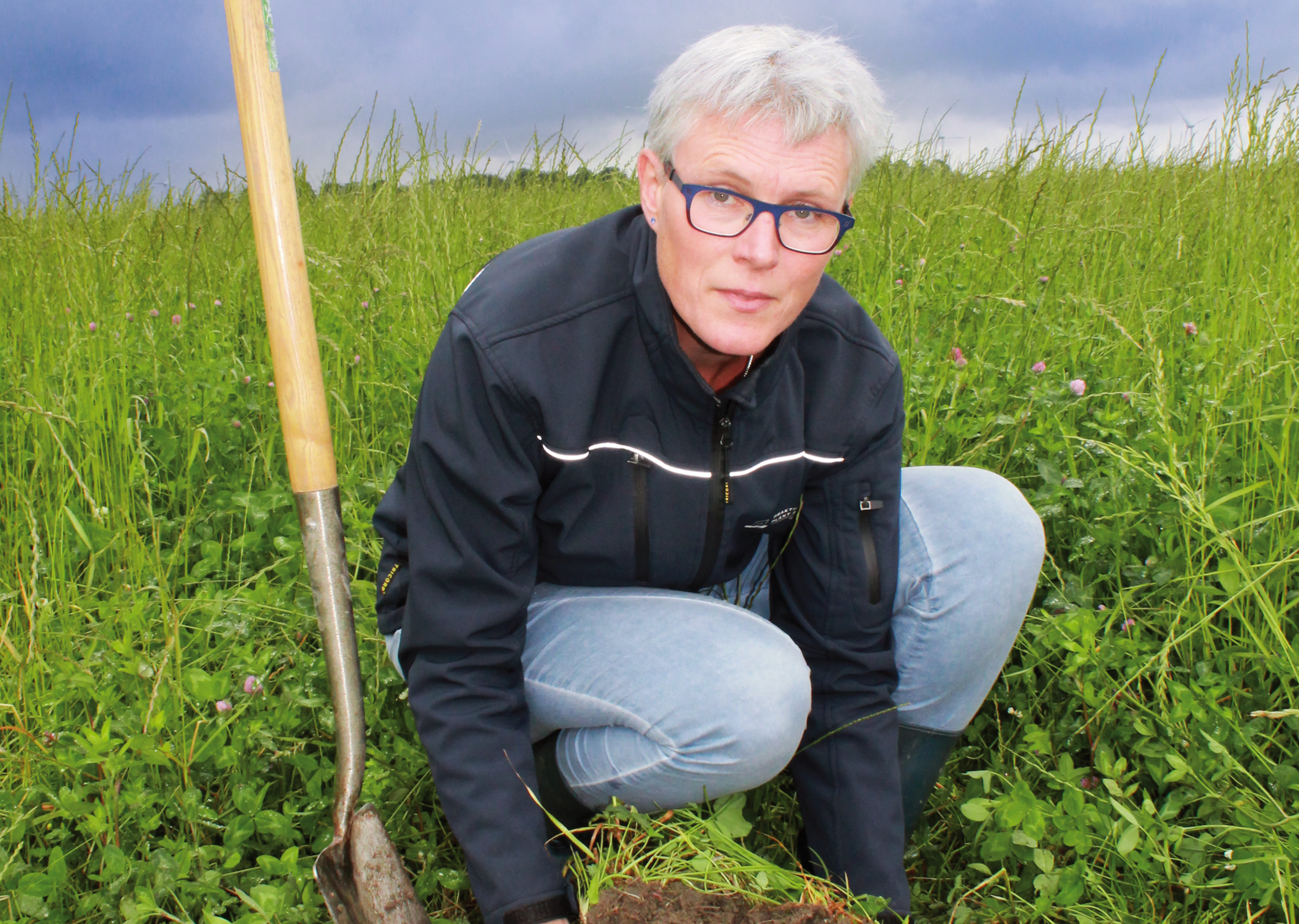 Better availability of phosphate with grass and clover