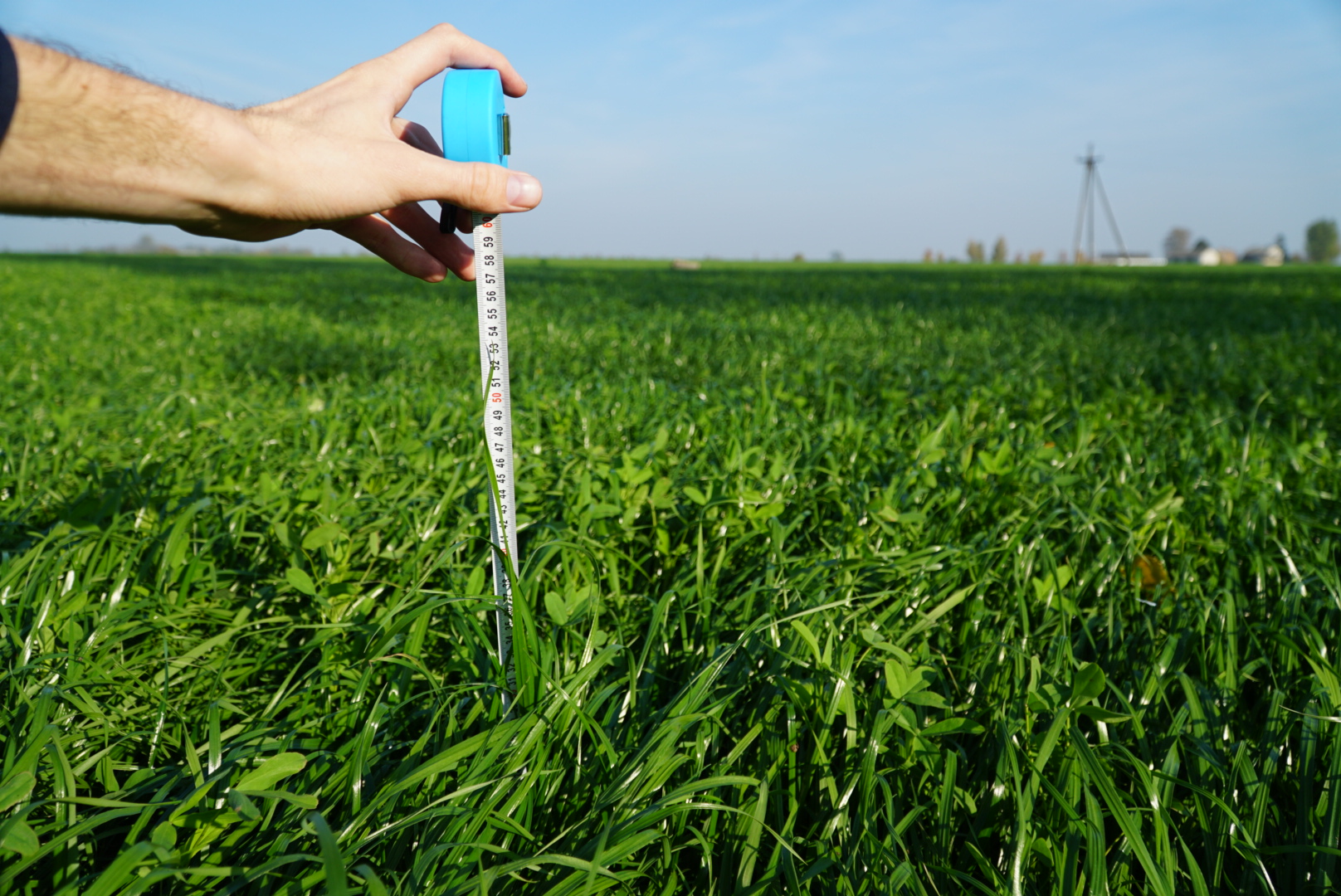 Siew mieszanki BG-13 Milkway Poplon- fotorelacja.