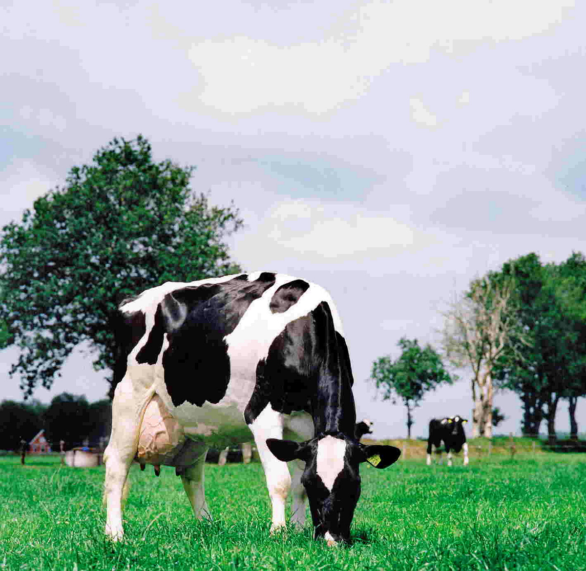 Klub 100-tysięczników