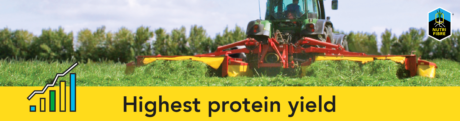 NF_banner_protein_eng!
						