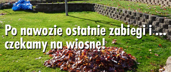 Newsletter_13 _Po nawozie_1
