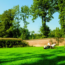 Parki, zieleń miejska - Pytania i odpowiedzi