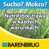 Za dużo wody na ŁĄCE? Pływają zające?