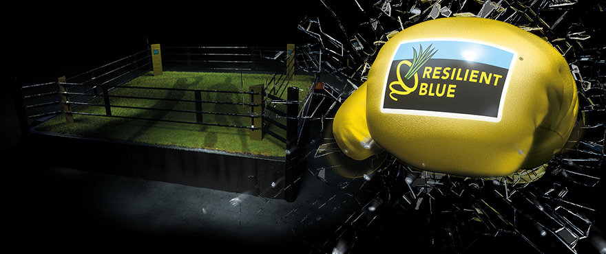 HEADER-Turf-INT-Resilient-Blue-Product Header-product-ResilientBlue!