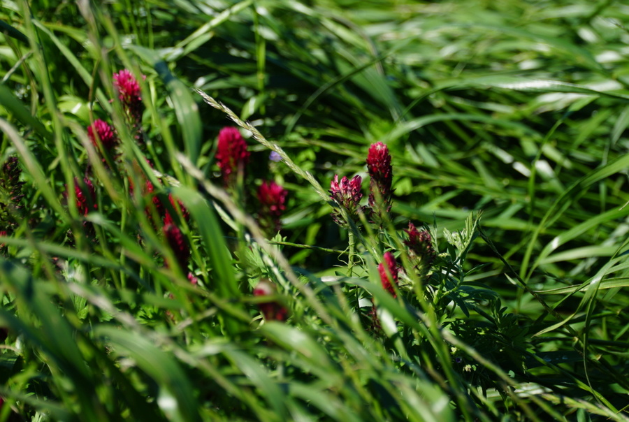 Drugi pokos B&G 13 w 2020- Fotorelacja