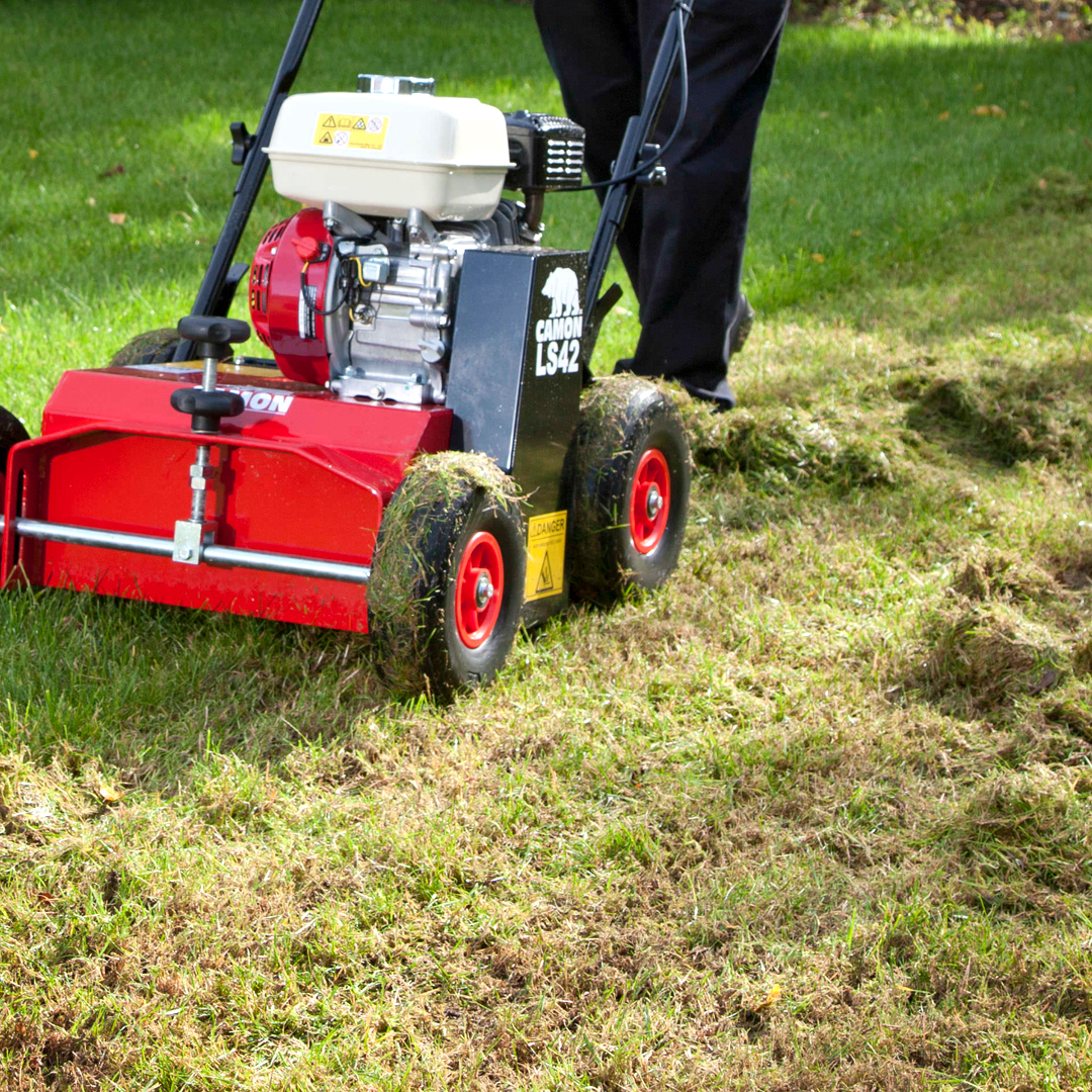 Co słychać na Twoim trawniku po zimie?