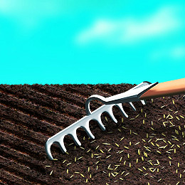 Zakładanie trawnika- Przeczytaj zanim zepsujesz... ;)