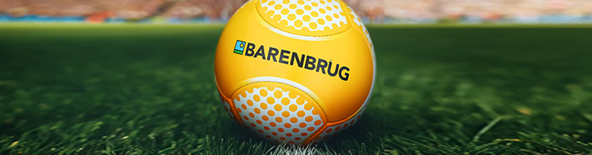 Trawy Barenbrug stanowią podstawę najlepszych boisk na Euro 2024