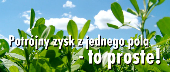 Newsletter_1_2017_potrojny_zysk5