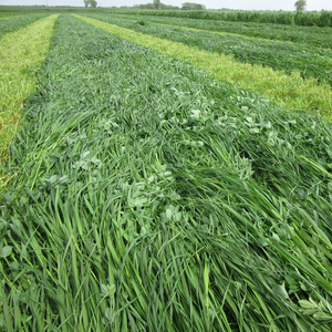 Zwiększ wydajność łąk.