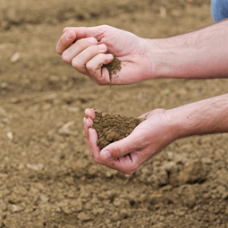 Co zyskasz badając glebę?