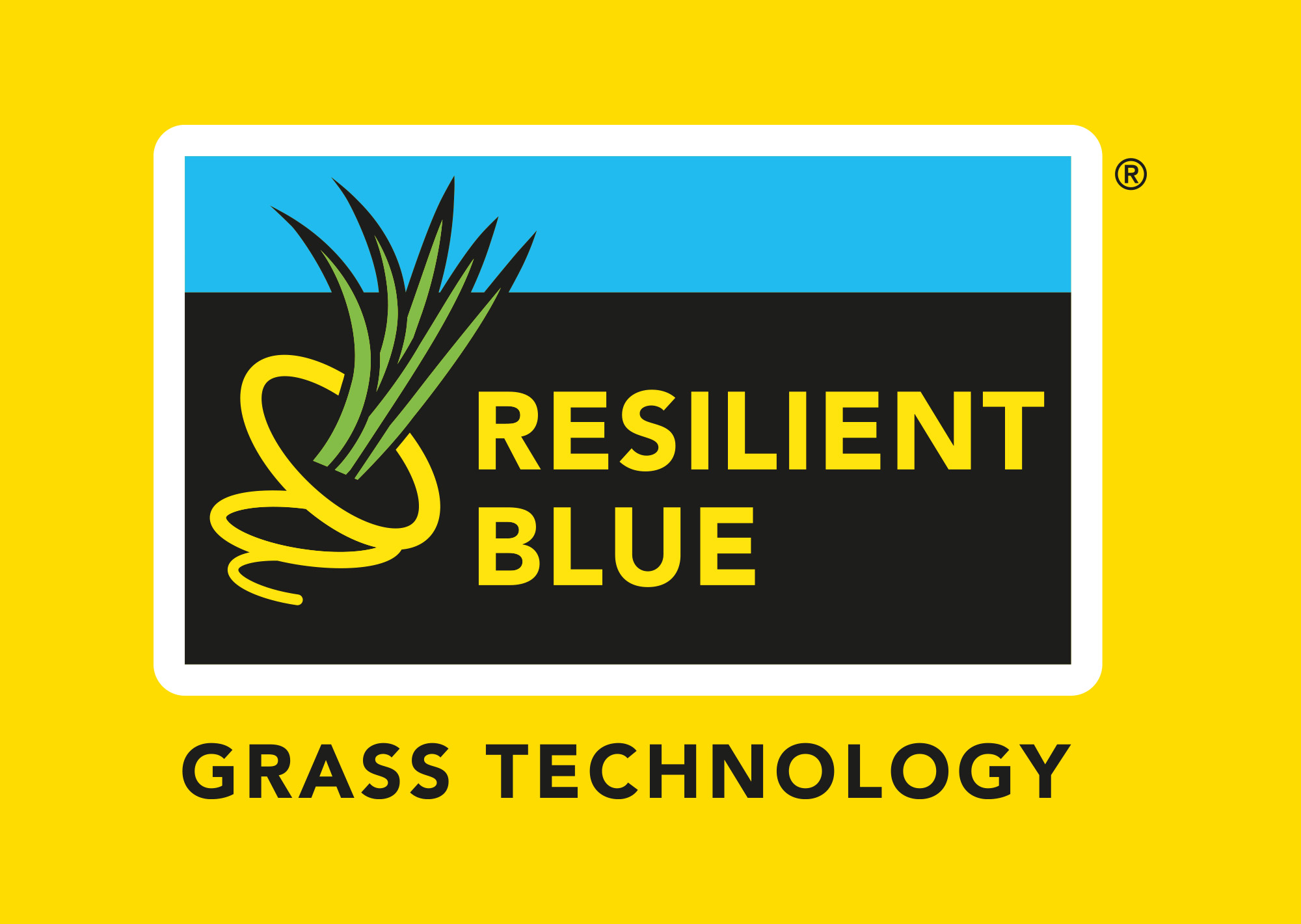 Logo-Resilient-Blue-2024-yellow!
						