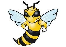 yellow jacket Barenbrug
