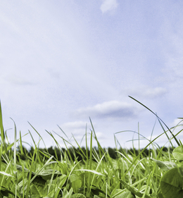 Clover catches up in the second half of the season