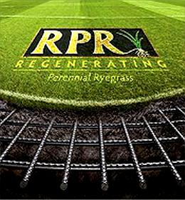 RPR is conquering the world