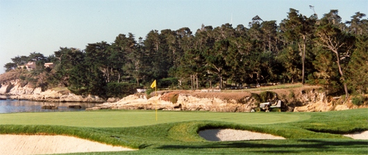 golfbaan met gele vlag!
						