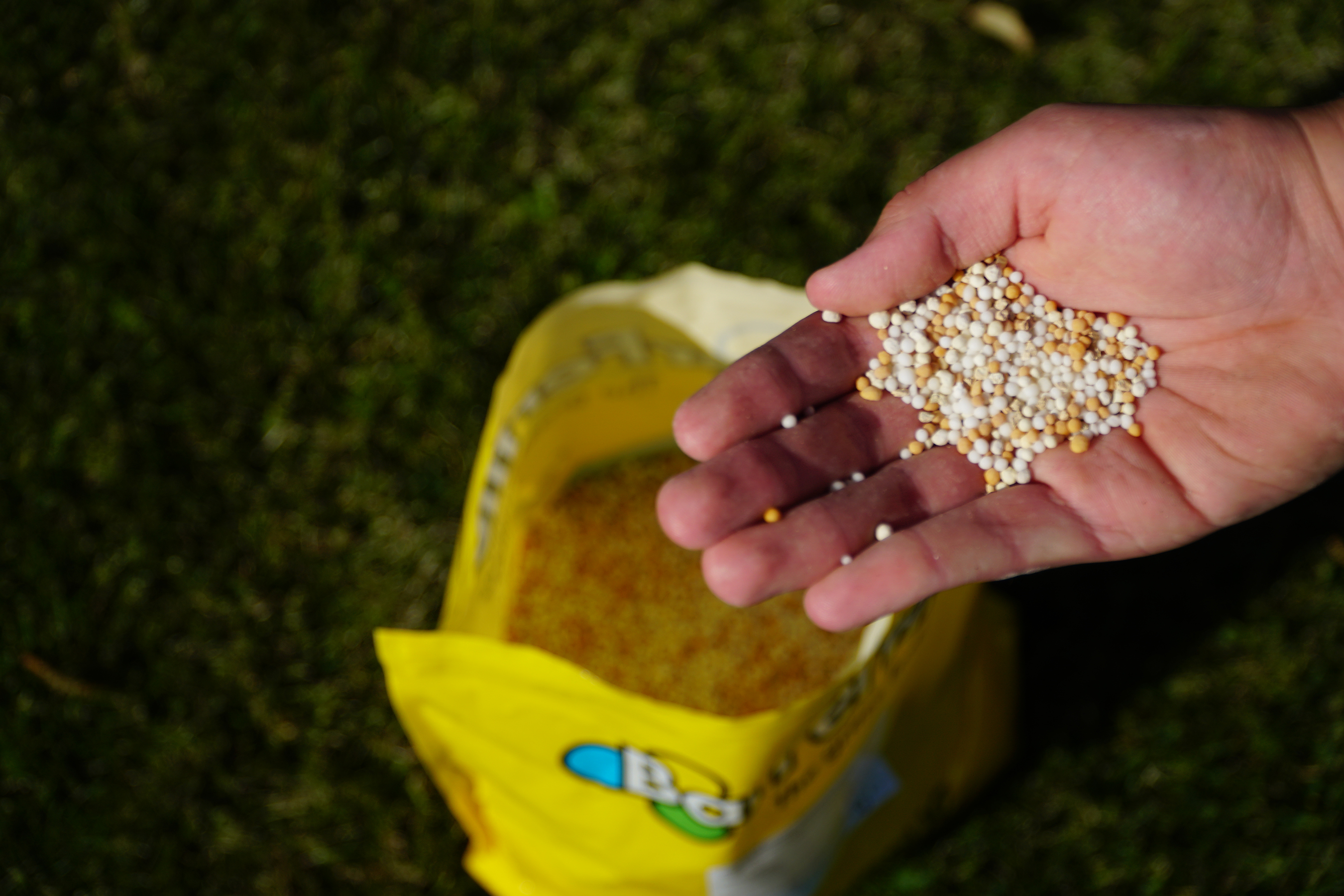 Nawóz jesienny? Oczywiście TAK!