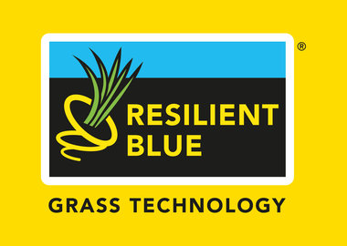 Czym jest Resilient Blue? Logo-Resilient-Blue-HR-2024-yellow!