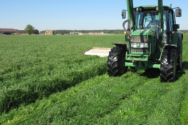 Wysokość koszenia nabiera znaczenia!