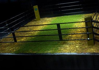 Najszybsza regeneracja po okresie upałów i suszy