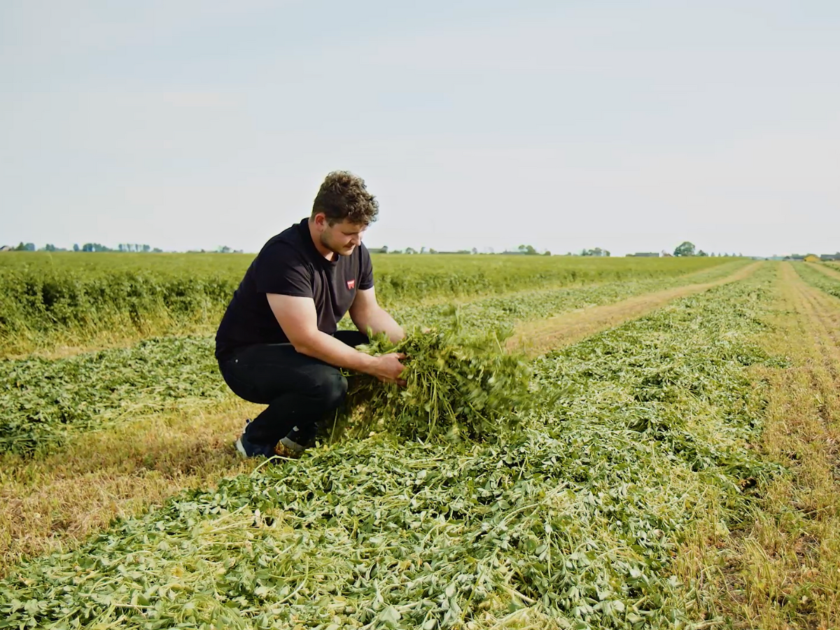 PIERWSZY POKOS – lucerna AlfaComfort | Dobre Wieś, Kujawy, 16.05.2022 |