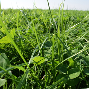 Krok po kroku- agroFakt pracuje dla Was