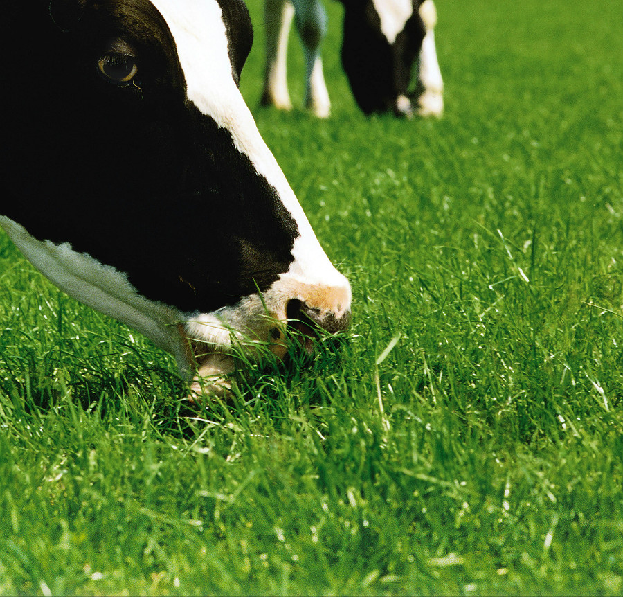 BG-7 Water i BG-12 Alfa Start