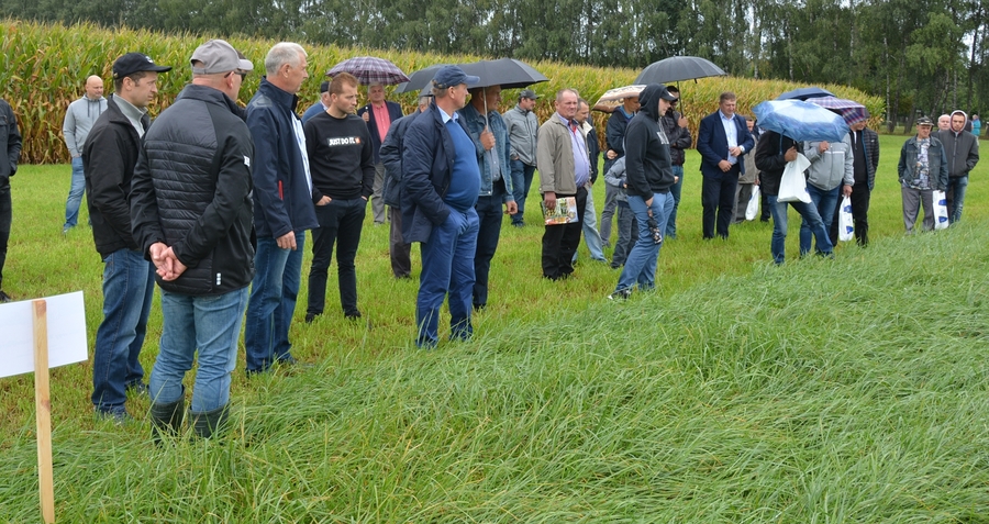 Mleczna Akademia 2018 - po deszczu przyszło słońce.