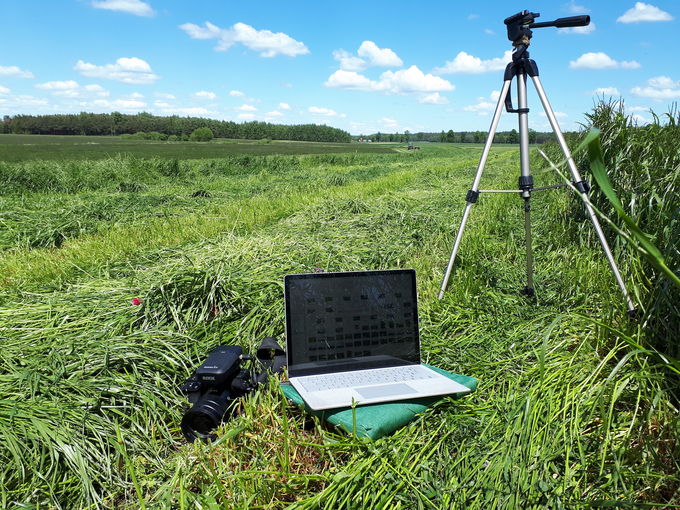 Podcast "Na ugorze". Co w trawie piszczy?