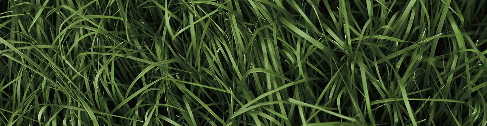 Header_NutriFibre_mineral efficient