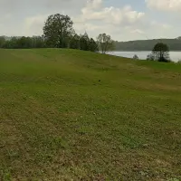 Produkcja metanu z trawy?