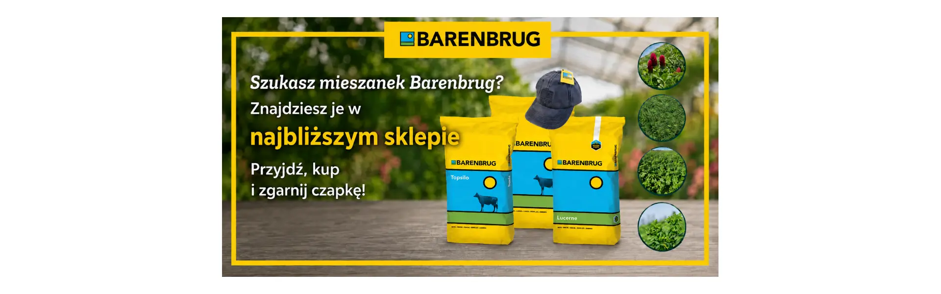 Kup mieszankę Barenbrug i zgarnij czapkę
