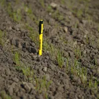 Siew mieszanki B&G 13 Poplon- fotorelacja.