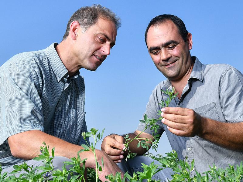 Lucerne France Farmer and Advisor 2018 (16)