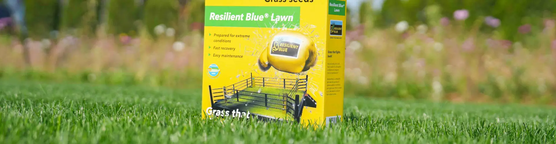 Resilient Blue Lawn 2