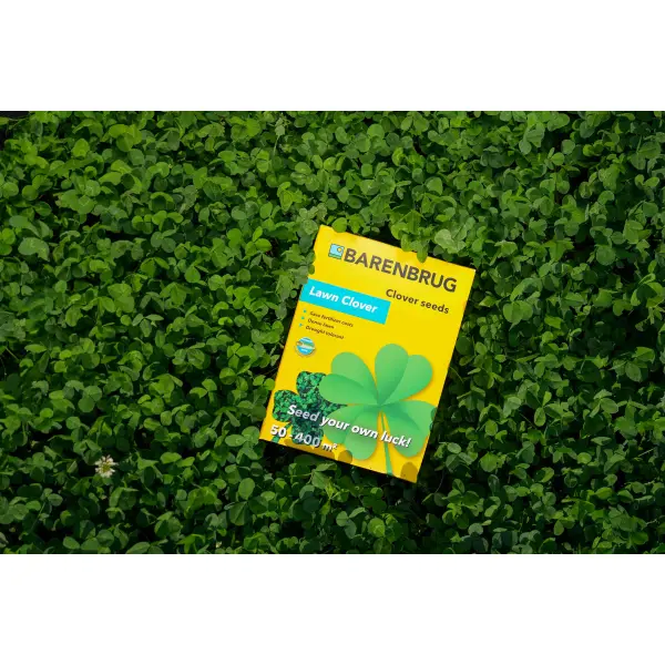 LAWN CLOVER