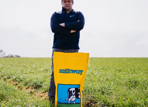 Barenbrug_Ślepuchowo-7