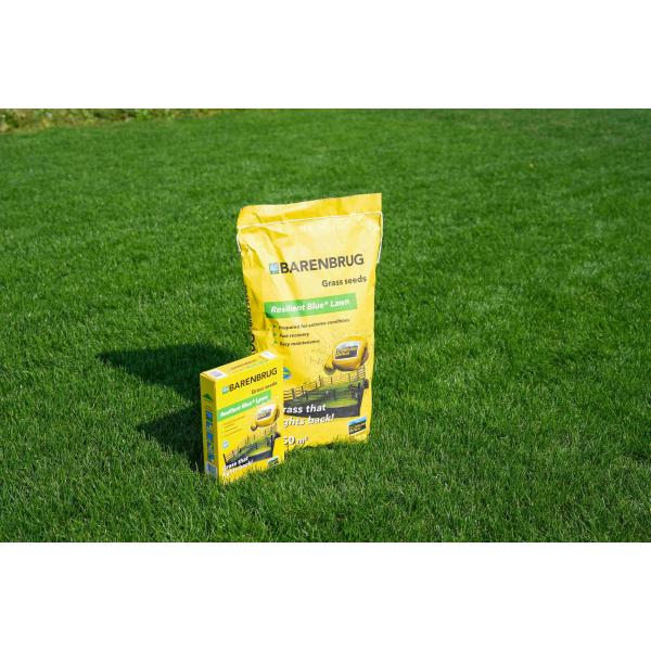 Resilient Blue Lawn 3