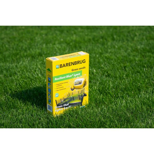 RESILIENT BLUE LAWN