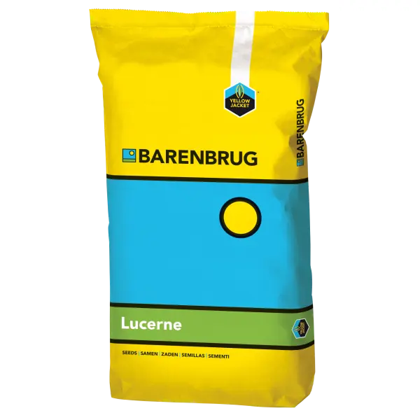 ALFA COMFORT- mieszanka lucern 25 kg