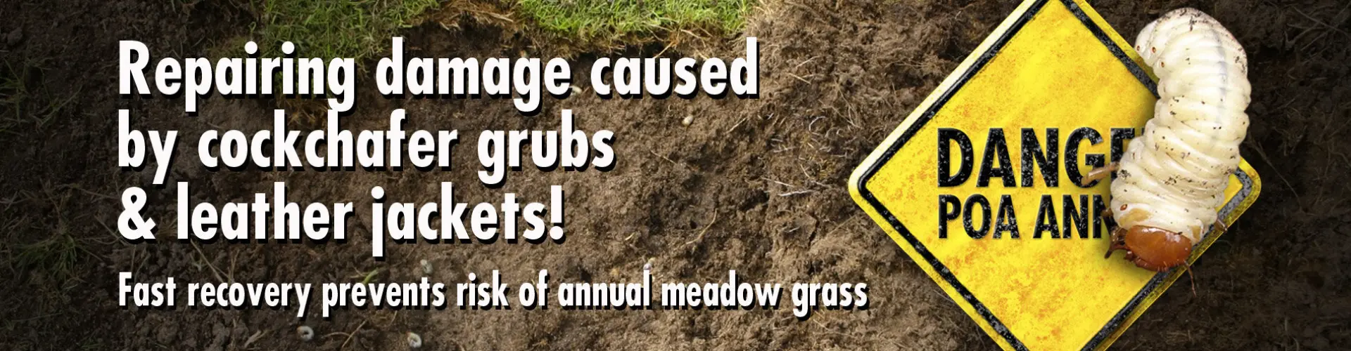 HEADER_Damage-cockchafer_500