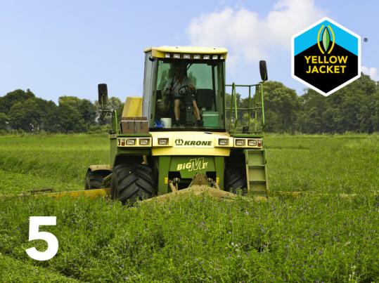 Luzerne_teelthandl_stap5_harvesting