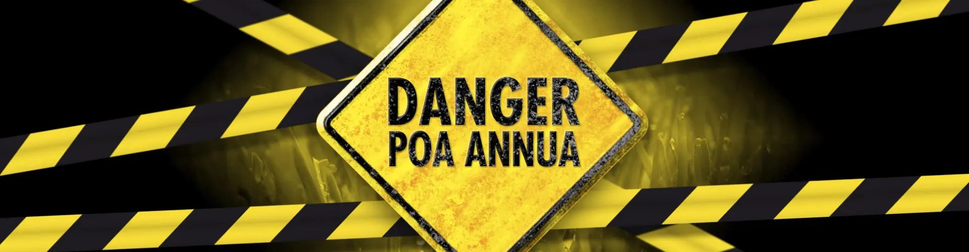 HEADER_Danger-Poa-Annua(1)