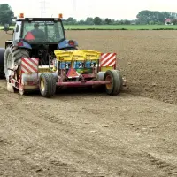 Wiosenny podsiew KROK po KROKU