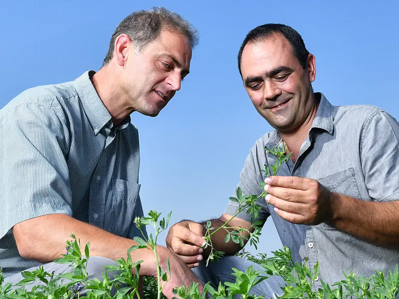 Lucerne France Farmer and Advisor 2018 (16)